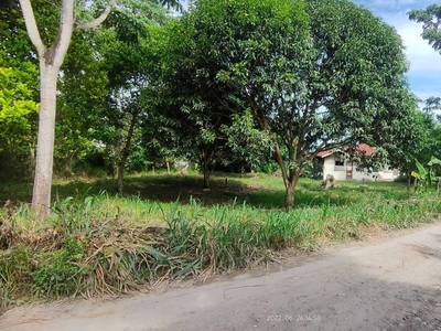 929 m² Residential lot at Martinez Subd., Mati - ideal for business