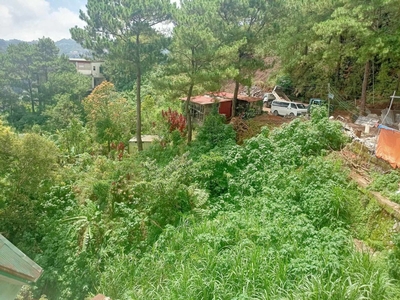 Baguio Res. Lot 437 sqm - Youngland Subd. near Kennon Rd @ 5.5K/sqm, FIRE SALE!