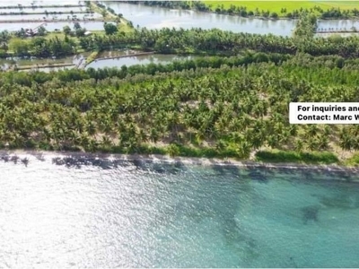 Beachline Lot Property for Private Resort Vacation House in Davao Oriental