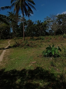 Lot For Sale In Alulod, Indang