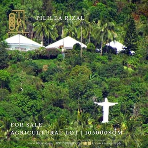 Lot For Sale In Pililla, Rizal