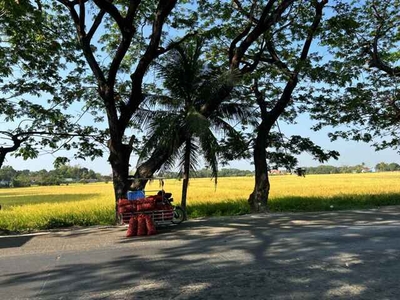 Lot For Sale In Pulilan, Bulacan