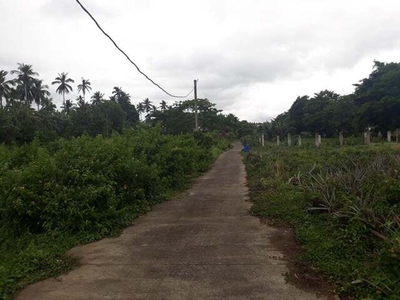 Lot For Sale In San Agustin, Alaminos