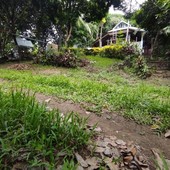 Farm lot / Farm land for sale. With rest house and overlooking. Baras, Rizal