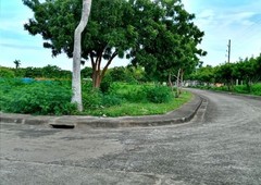 Lot for sale 446 sqm with shade trees @ Vistamar Res. Estate