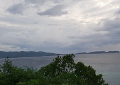 MABINI BATANGAS OVERLOOKING BALAYAN BAY AND SOMBRERO ISLAND LOT FOR SALE