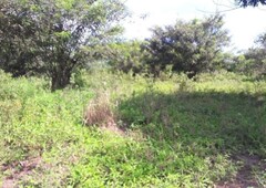 150 hectares affordable land