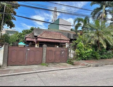 House For Sale In Central, Quezon City