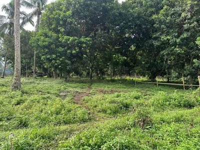 Lot For Sale In Bulakin I, Dolores