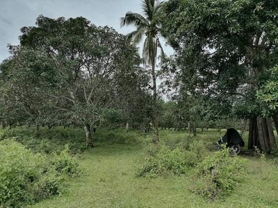 Lot For Sale In Buso, Mati