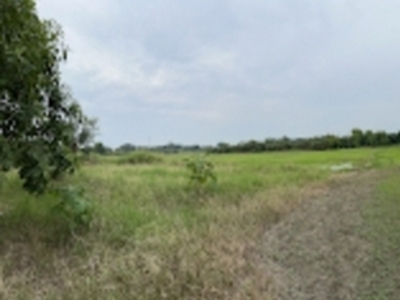 Lot For Sale In Capehan, Tarlac