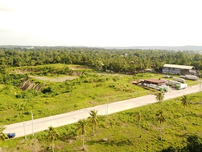 Lot For Sale In Indangan, Davao