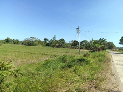 Lot For Sale In Maasin, Brooke's Point