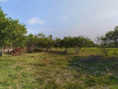 Lot For Sale In Maugat East, Padre Garcia