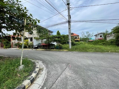 Lot For Sale In Molino I, Bacoor