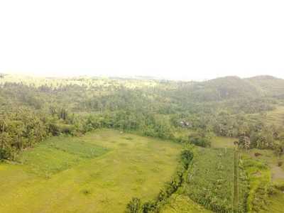 Lot For Sale In Punay, Aloguinsan