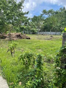 Lot For Sale In San Isidro, Puerto Galera
