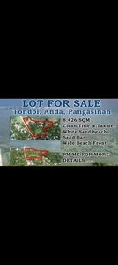 Lot For Sale In Tondol, Anda