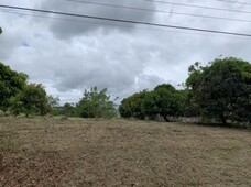 1101 sqm. farm lot in Hacienda Sta. Monica (Ayala Land)