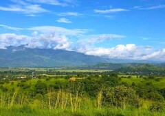 Farm Land in Nueva Ecija with Overlooking view of Serra Madre Mountain