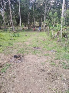 Lot For Sale In Mahabangkahoy Lejos, Indang