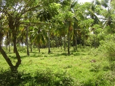 rush sale agricultural lot,davao For Sale Philippines