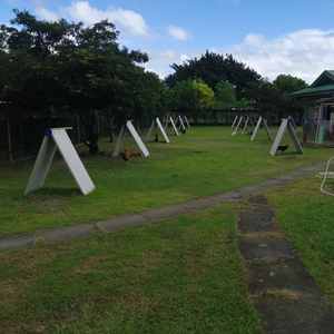 Lot For Rent In Butong, Cabuyao