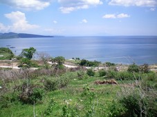 RESIDENTIAL LOTS WITH SEA VIEWS For Sale Philippines