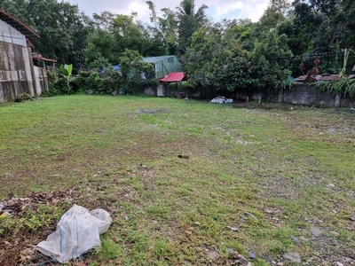 Lot For Sale In Tinamnan, Lucban