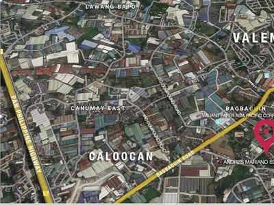 Vacant Lot For Sale in Valenzuela